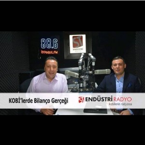 alt_1ADEN Yeminli Mali Müşavirlik Anonim Şirketi - Ali ÇAKMAKCI